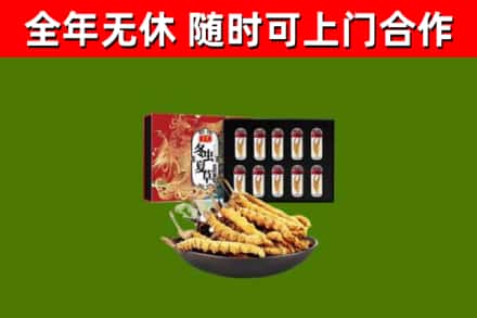 荆州回收冬虫夏草价格